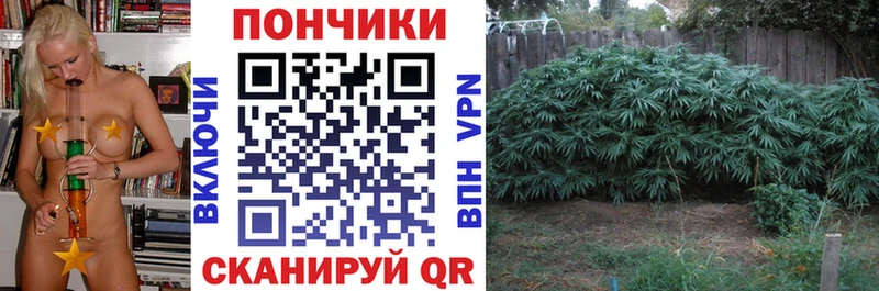 Где продают наркотики Малаховка COCAIN mega маркетплейс Конопля ГАШ