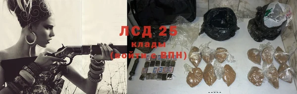 сатива Белоозёрский