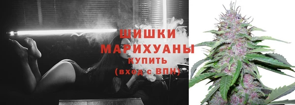 сатива Белоозёрский
