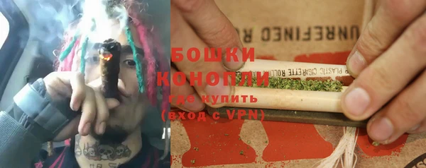 сатива Белоозёрский