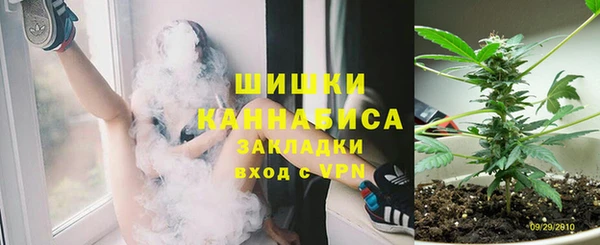 сатива Белоозёрский